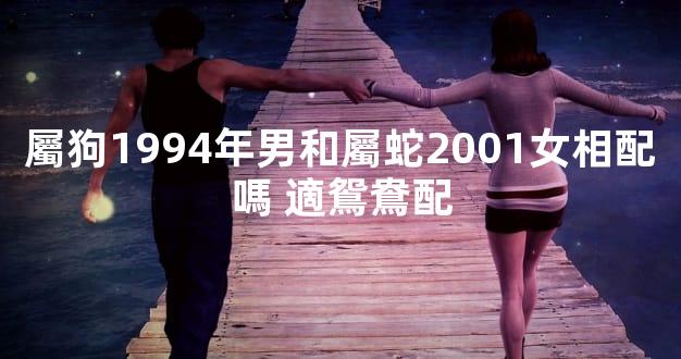 屬狗1994年男和屬蛇2001女相配嗎 適鴛鴦配